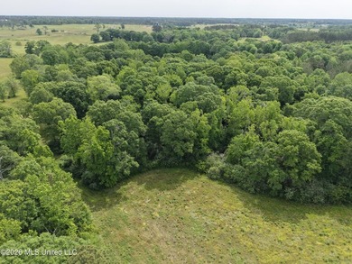 100.18+/- acres in Lawrence County, MS in the Jayess community - photo 34
