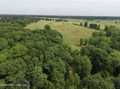 100.18+/- acres in Lawrence County, MS in the Jayess community - photo 35