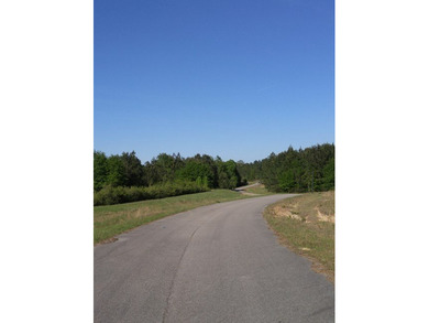 Poplarville's best kept secret! Take country living to a new - photo 5