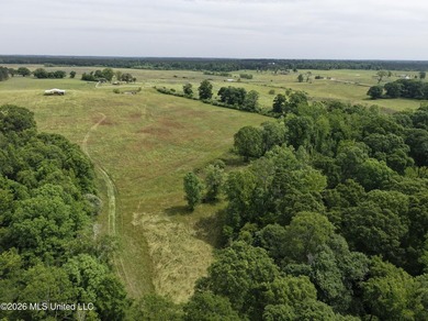 100.18+/- acres in Lawrence County, MS in the Jayess community - photo 36