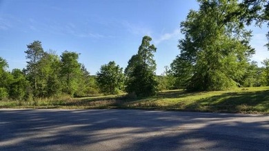 Poplarville's best kept secret! Take country living to a new - photo 6
