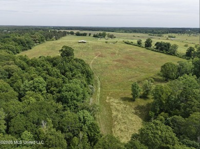100.18+/- acres in Lawrence County, MS in the Jayess community - photo 37