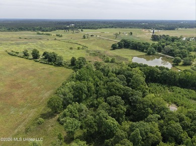 100.18+/- acres in Lawrence County, MS in the Jayess community - photo 38
