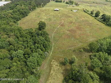100.18+/- acres in Lawrence County, MS in the Jayess community - photo 39
