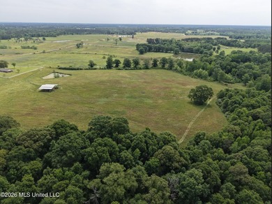 100.18+/- acres in Lawrence County, MS in the Jayess community - photo 41