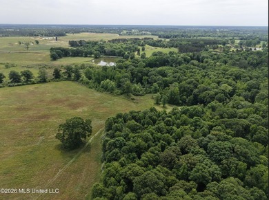 100.18+/- acres in Lawrence County, MS in the Jayess community - photo 42