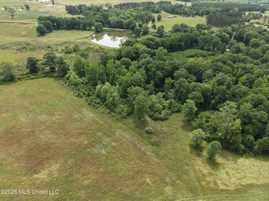 100.18+/- acres in Lawrence County, MS in the Jayess community - photo 43