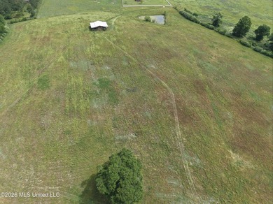 100.18+/- acres in Lawrence County, MS in the Jayess community - photo 44