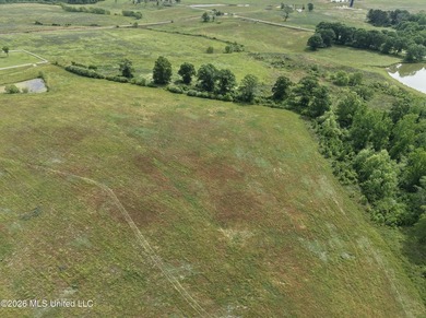 100.18+/- acres in Lawrence County, MS in the Jayess community - photo 46