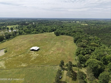 100.18+/- acres in Lawrence County, MS in the Jayess community - photo 47