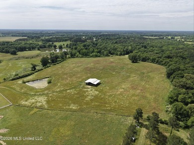 100.18+/- acres in Lawrence County, MS in the Jayess community - photo 48