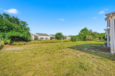 Stunning, move-in ready home nestled within The Farm at Carolina - photo 50