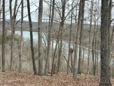 Awesome Lakefront/Lakeview  Building Site with Community water - photo 12