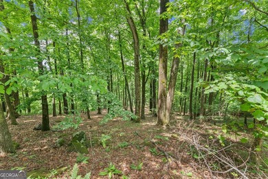 What a view!?!?! Are you looking for the perfect place to build - photo 4