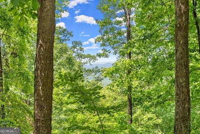 What a view!?!?! Are you looking for the perfect place to build - photo 8