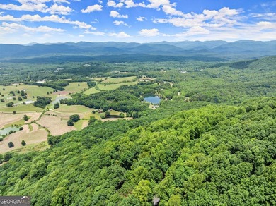 What a view!?!?! Are you looking for the perfect place to build - photo 9