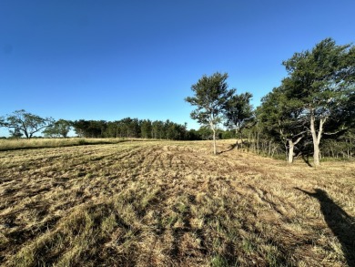Barefoot Bay Beauty — 1 Acre with Lake Views & Marina Slip - photo 28