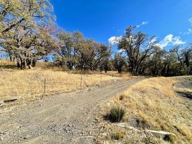 (private lake, pond, creek) Acreage For Sale in Dinsmore California