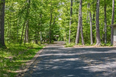 Here is your rare opportunity to own one of the most exceptional - photo 25