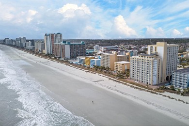 Wake up to stunning, direct oceanfront views from this - photo 29