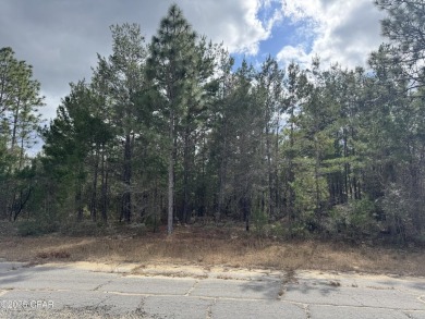 Lake Lot For Sale in Chipley, Florida