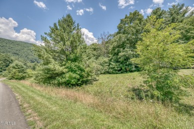 Lake Acreage For Sale in Butler, Tennessee