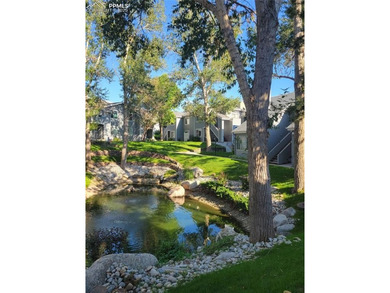 (private lake, pond, creek) Condo Sale Pending in Denver Colorado