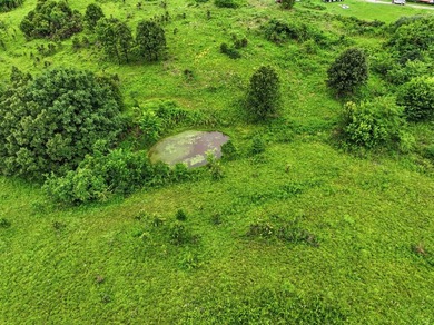 Discover the perfect blend of open pasture, mature timber, and - photo 15
