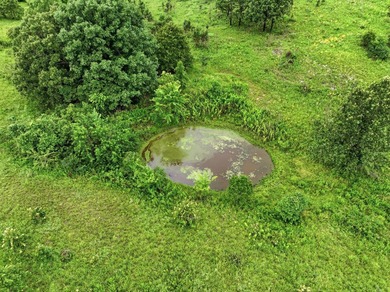 Discover the perfect blend of open pasture, mature timber, and - photo 16