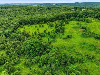 Discover the perfect blend of open pasture, mature timber, and - photo 17