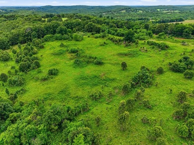 Discover the perfect blend of open pasture, mature timber, and - photo 18