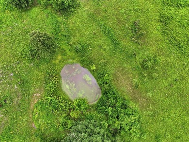 Discover the perfect blend of open pasture, mature timber, and - photo 21