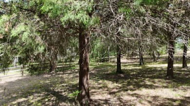 Stunning Wooded 2.3 Acre Lot with 404 ft of Shoreline! - photo 29