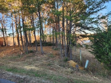 Motivated Sellers!  Year Round Water View; even at winter pool! - photo 6