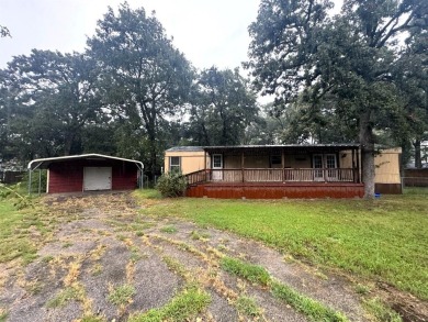 Lake Home For Sale in Wills Point, Texas