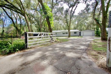 (private lake, pond, creek) Home Sale Pending in Wesley Chapel Florida