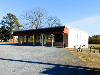 Lake Commercial For Sale in Buffalo Junction, Virginia