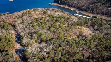 Don't miss this rare opportunity to own a premium lakeview lot - photo 11