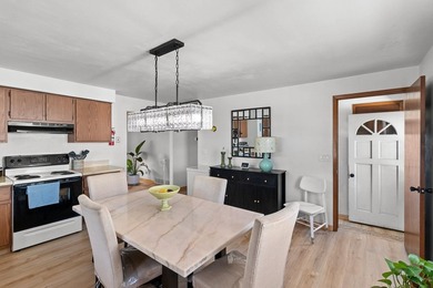 Move-in ready 3-bedroom, 1-bath ranch featuring numerous updates - photo 11