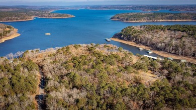 Don't miss this rare opportunity to own a premium lakeview lot - photo 12