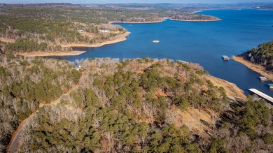 Don't miss this rare opportunity to own a premium lakeview lot - photo 13