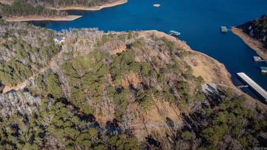 Don't miss this rare opportunity to own a premium lakeview lot - photo 14