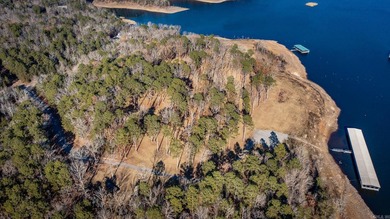 Don't miss this rare opportunity to own a premium lakeview lot - photo 15