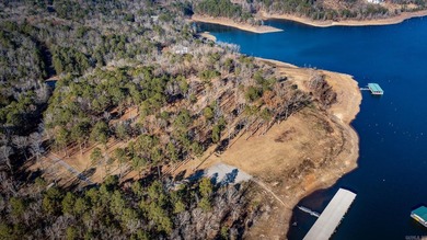 Don't miss this rare opportunity to own a premium lakeview lot - photo 16