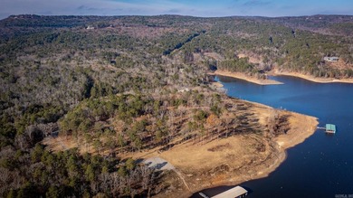Don't miss this rare opportunity to own a premium lakeview lot - photo 17