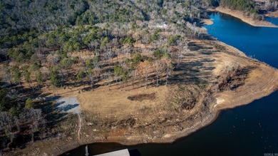 Don't miss this rare opportunity to own a premium lakeview lot - photo 18