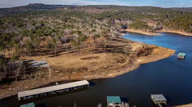 Don't miss this rare opportunity to own a premium lakeview lot - photo 19