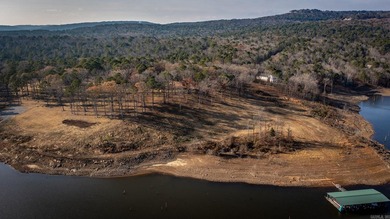 Don't miss this rare opportunity to own a premium lakeview lot - photo 20