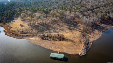 Don't miss this rare opportunity to own a premium lakeview lot - photo 21