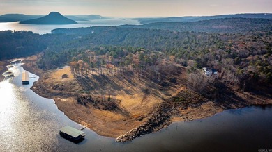 Don't miss this rare opportunity to own a premium lakeview lot - photo 22